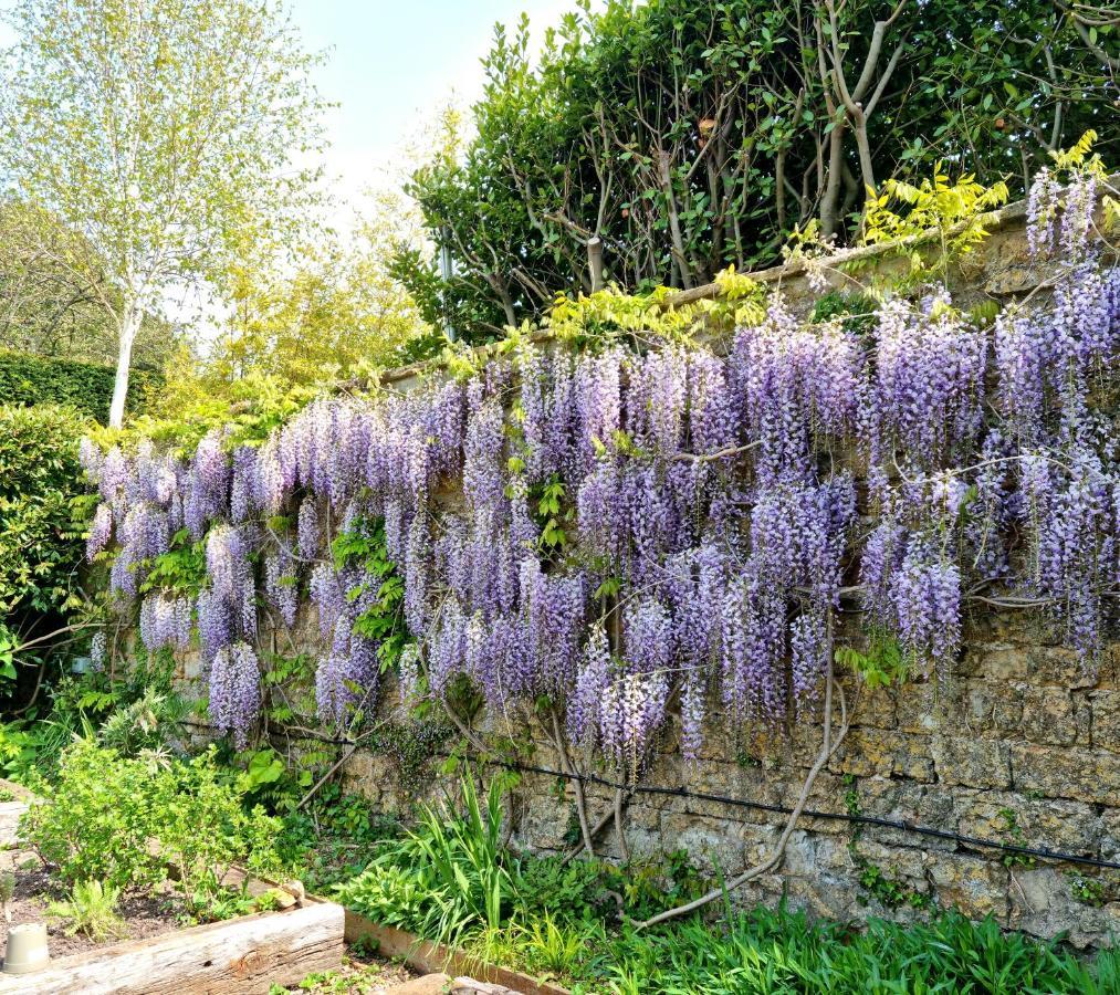 The Ollerod Beaminster Exterior foto